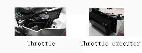 Throttle-System-ALPHA-Intelligence